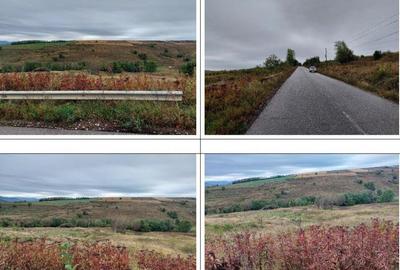 Teren extravilan pasune Ardeoani, ID: R2404613 - 12