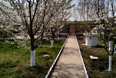 Casă cu 4 camere cu Teren 1035 Mp în Curtești - 19