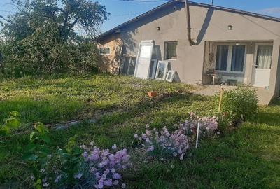 Casă cu 2 camere cu Teren 5 Mp în Zegujani - 11