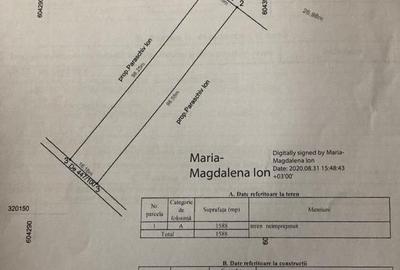Teren intravilan de 1588 mp, în Cernica - 6