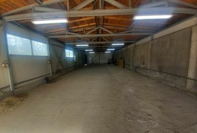 Casă individuală cu 10 camere cu Garaj în Central - 31