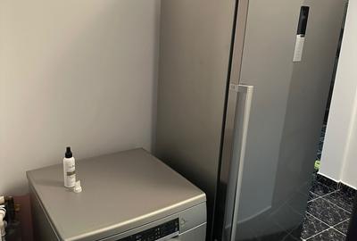 FALEZA NORD - REYNA 3 CAMERE DECOMANDAT MOBILAT, UTILAT, CENTRALA GAZ 650 EURO - 5