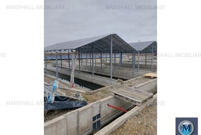 Spatiu industrial de vanzare, 2560 mp #15268 - 15
