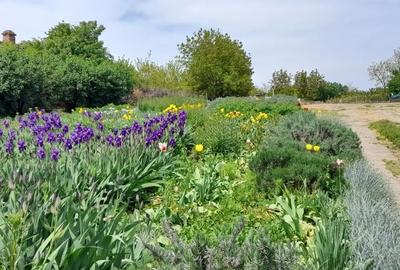 Casă cu 3 camere în Zorile - 2