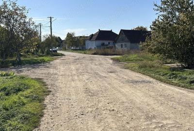 Teren de 22000 mp, în Livada - 5