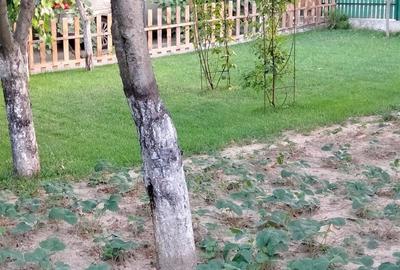 Casă cu 3 camere cu Teren 365 Mp în Central - 6