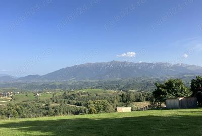 Casa de vacanta sat Pestera, Brasov - 1