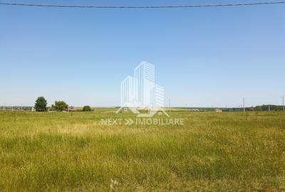 Teren Intravilan 1000 mp- ideal investitie , in apropiere de Olimp! - 14