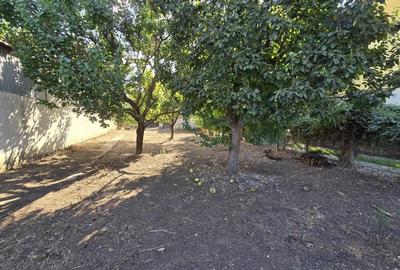 Teren 717mp Nord Baneasa Dobrogeanu Gherea Sisesti Ionescu de la Brad - 3