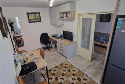 Apartament cu 2 camere semidecomandat, mobilat în Șagului - 7