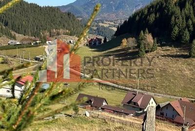 Teren Fundatica intravilan 4500 mp - 7