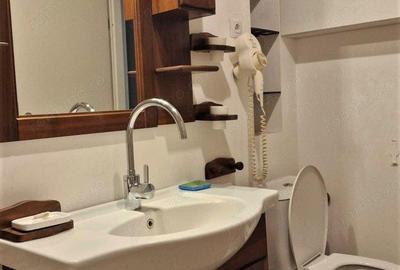 Apartament 3 camere Brancoveanu Apartament 3 camere Brancoveanu - 3