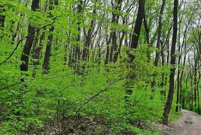 Apartament cu 2 camere în Mărăști