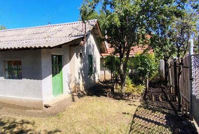 Vand casa, Perisor, Dolj - 2
