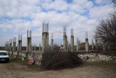 Teren Construcții intravilan de 6900 mp, în Șcheia - 14