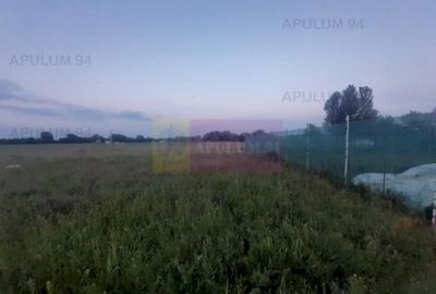 Teren aproape de Bucuresti langa padure între case - 10