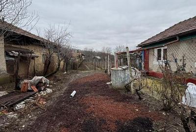 Casă cu 3 camere cu Teren 600 Mp în Săhăteni - 6