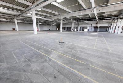 Spatii Industriale - 9000 mp - Productie - Depozitare - Distributie - 12