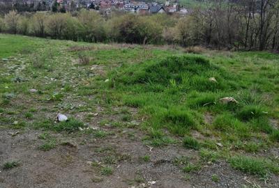 Teren Intravilan | Constructii | 734 mp | Baia Mare | Strada Miron Costin - 4