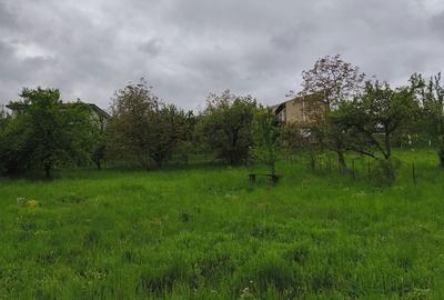 Teren de 950 mp, în Borhanci
