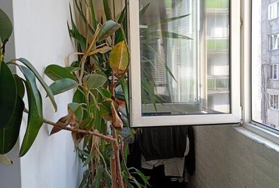 Apartament cu 2 camere decomandat în Industrială - 5