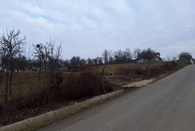 Spațiu comercial, în Cicârlău - 1