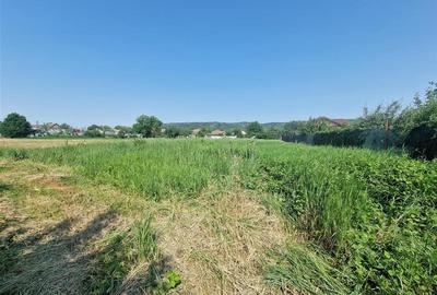 RECO teren intravilan in Fughiu 30 e / mp - 2
