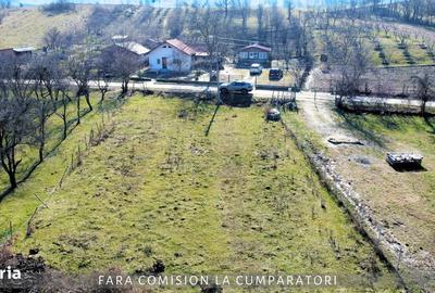 Spațiu comercial, în Căzănești - 4