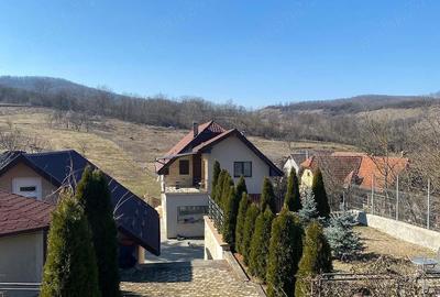 Casă cu Teren 1905 Mp în Stejeriș - 19