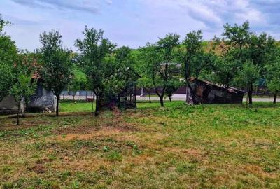 Teren intravilan la 17 km de Cluj-Napoca - 2