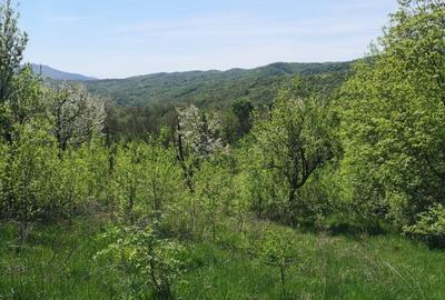 Vand teren Orsova, jud. Mehedinti - 4