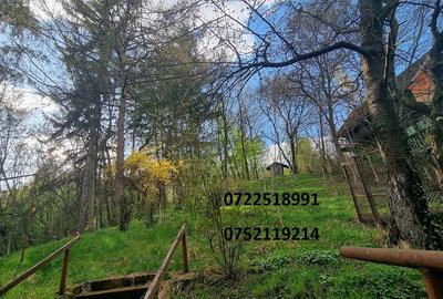 Campulung Muscel, Arges, inchiriere vila superba, la munte - 9