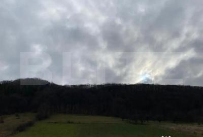 Teren de 2600 mp, în Central