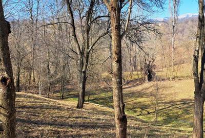 Spațiu comercial, în Podul Lung - 16