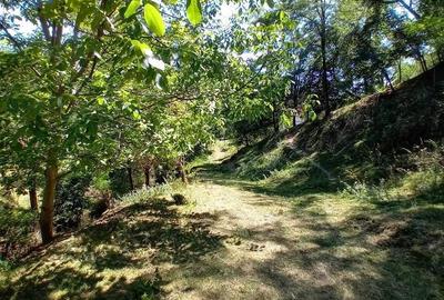 De vanzare teren intravilan in zona de munte - 6