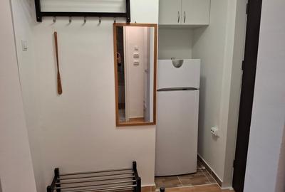 Garsoniera  eleganta renovata integral la prima inchiriere in zona Tineretului - 10