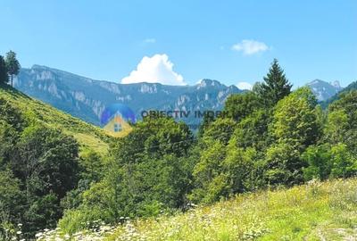 TEREN Izvoru Muntelui, langa orasul BICAZ - 4