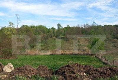 Teren intravilan/extravilan - 4