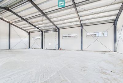 Hala industriala in zona Giarmata Timi? - 14