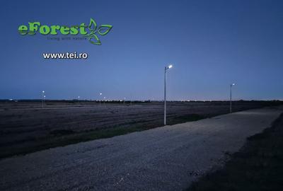 Teren de 720 mp, în Tărtășești - 5