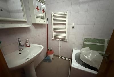 Garsonieră ultracentrală, renovată, vedere parc ? Parcul Cancicov - 9