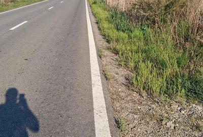 Teren de 28500 mp, în Central - 3