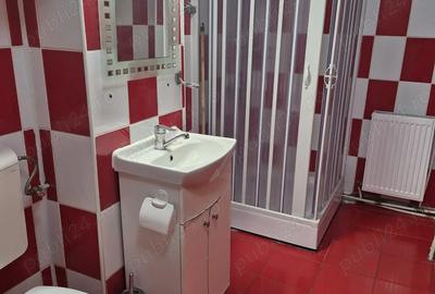 Apartament pentru inchiriat - 10