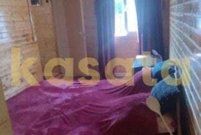 Casa individuala de lemn I Calarasi I Dor Marunt I teren 814 mp - 4