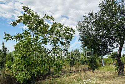 Vanzare teren de casa in Comuna Scoar?a , strada Salcia - 2