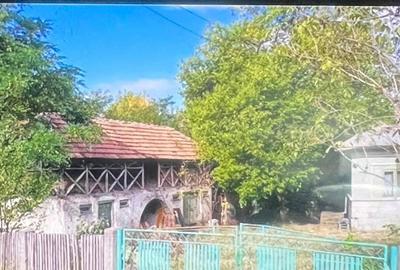 Casă cu 4 camere cu Teren 1800 Mp în Bârsoiu - 5