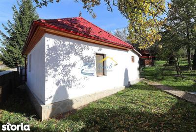 Casă cu 1 camere cu Teren 267 Mp în Valea Doftanei - 1