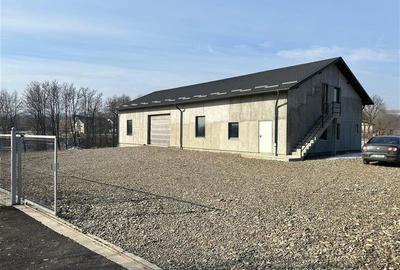 Spațiu industrial, de 250 mp, în Pătrăuți - 9