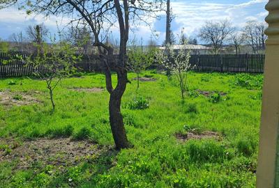 Casă cu 4 camere în Dracea - 5