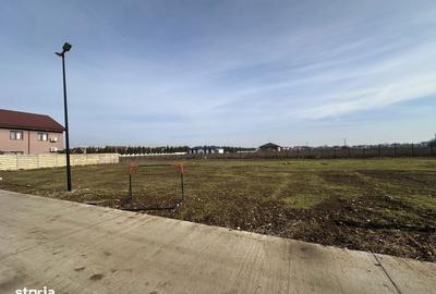 Spațiu comercial, în Corbeanca - 3